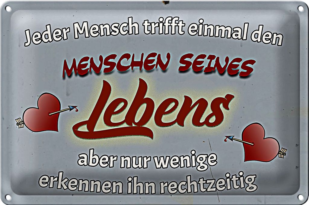 Blechschild Spruch 30x20cm Jeder Mensch trifft einmal den