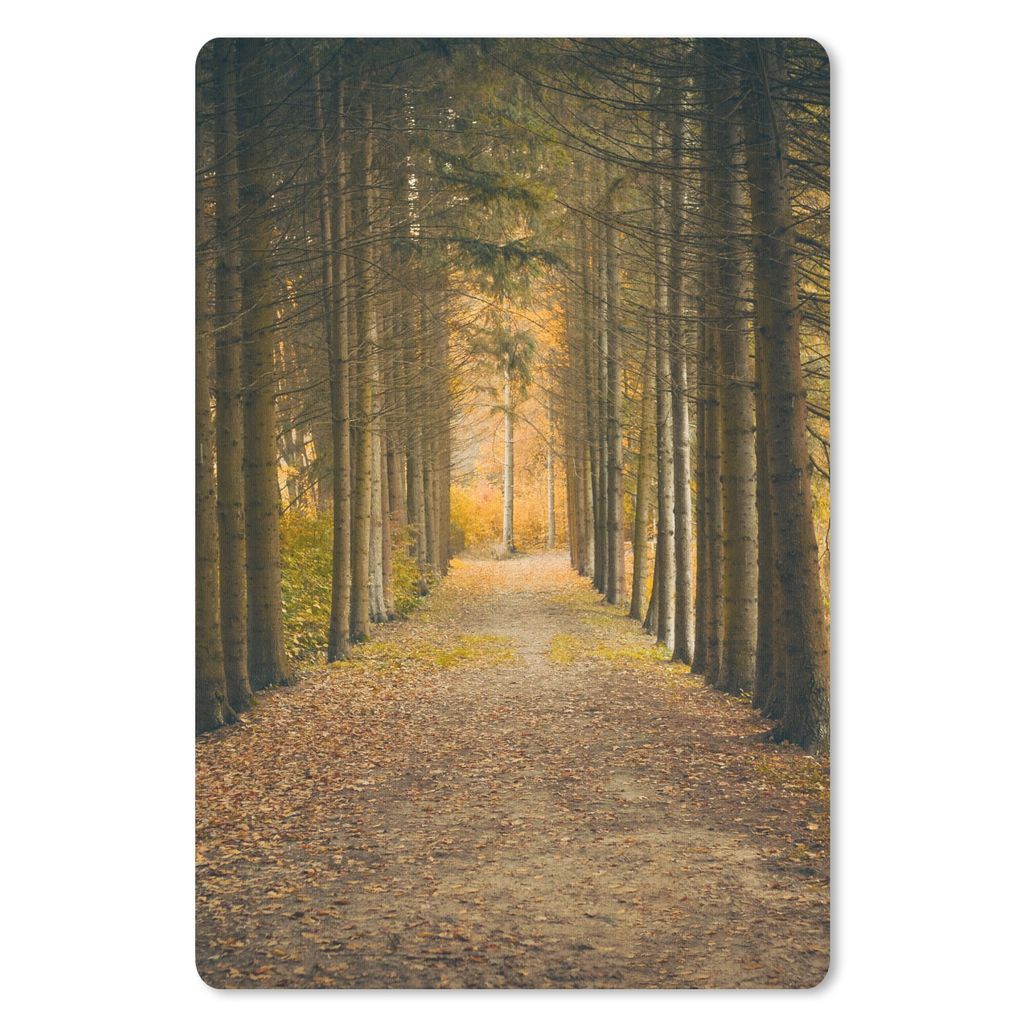 MuchoWow Mauspad Mousepad Pfad - Bäume - Wald 40x60 cm - Mousepads - Maus Mat - Pad - Mausunterlage - Schreibtisch Accesoire