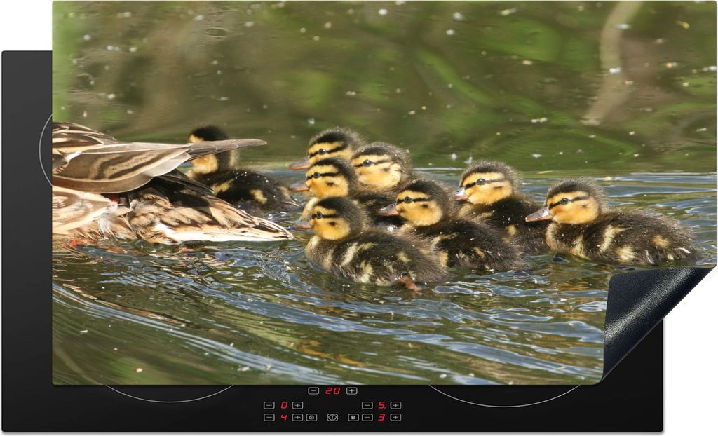KitchenYeah Herdabdeckplatte Küken - Enten - Spiel , 91x52cm, Küche Deko, Glaskeramikfeld Herdabdeckung, Abdeckplatte fùr Kochfeld