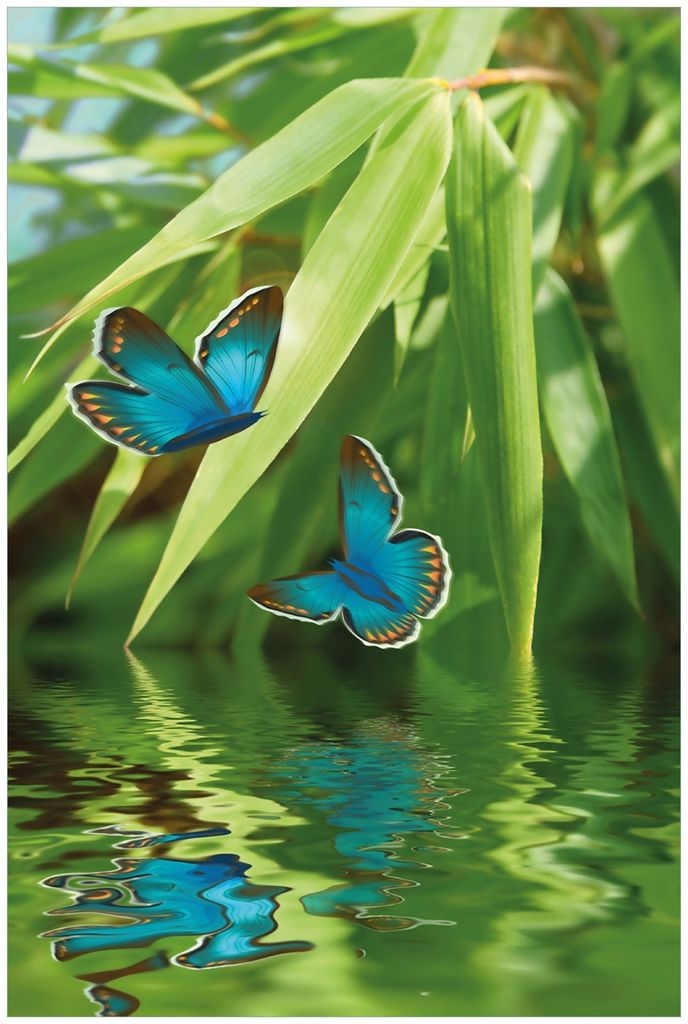 Wallario Premium Glasbild, freischwebende Optik, kräftige Farben, Größe 90 x 60 cm Motiv Schmetterlinge in Reflektion