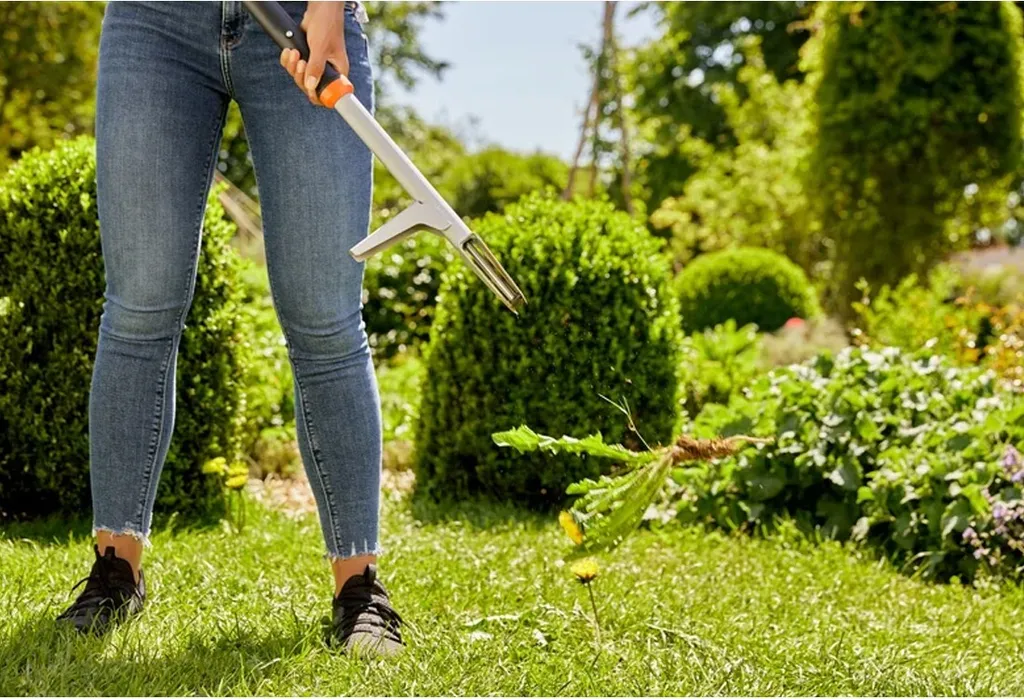 Diserbante 360 per Prato e Giardino - Stop Erbacce con Glifosate - 5