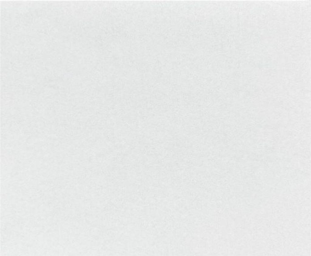 Fiesta kompostierbare Burgerverpackungen Weiß - 250x300 (200 Stück)