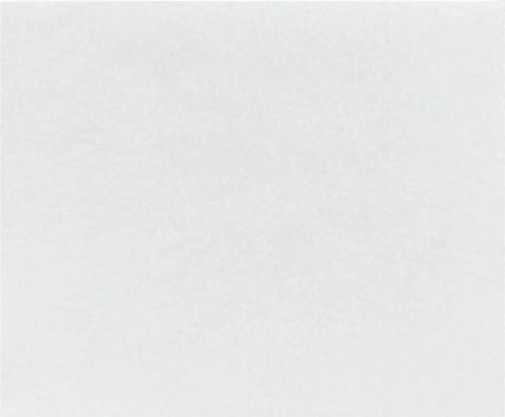 Fogli Fiesta Compostabili per Burger Bianco 250x300mm - 200 pz Pretagliati