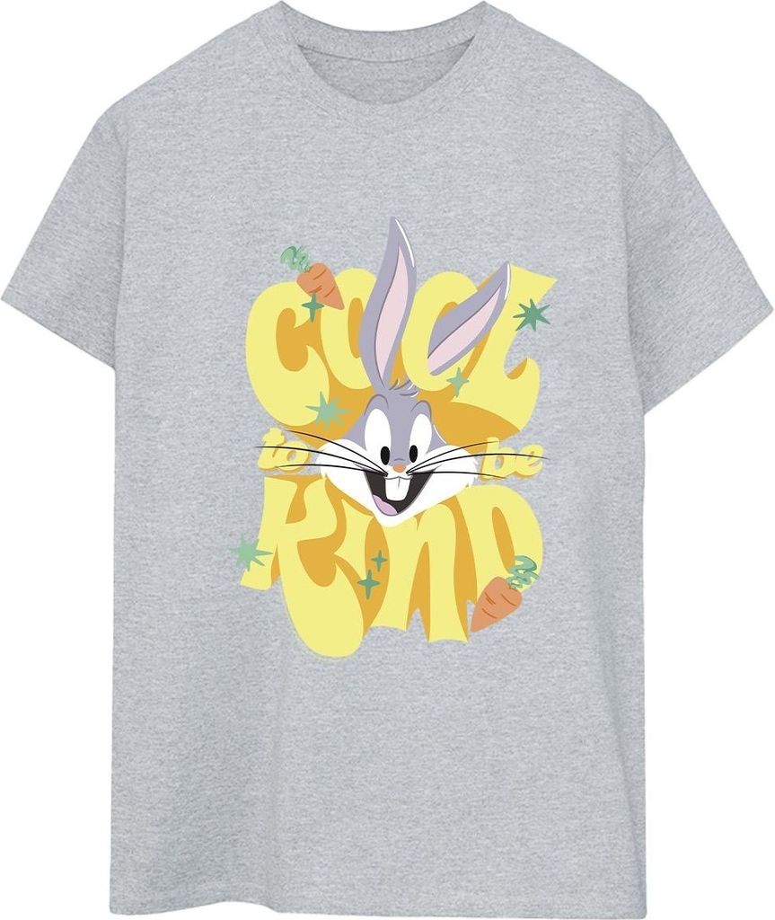 Looney Tunes - "Cool To Be Kind" T-Shirt für Damen BI33007 (S) (Grau)