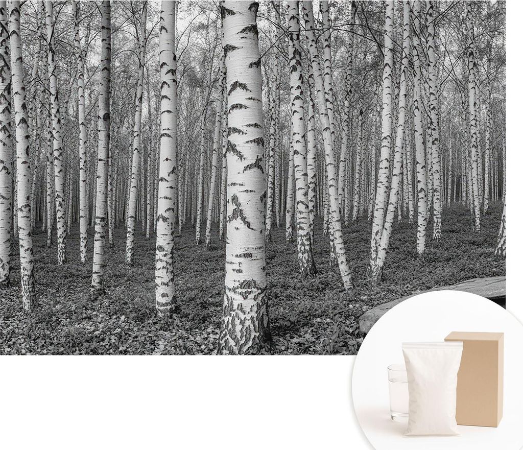 Fototapete - Wandbilder für Wohnzimmer - 208x146 cm - Dekorative Wandfolie - Modernes Design für Wanddekoration - Tapeten für Innenräume - Birk...