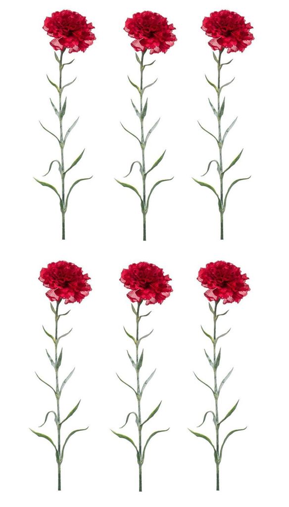 6er Set künstliche Nelken Dianthus spray H. 67cm rot Emerald Kunstblumen