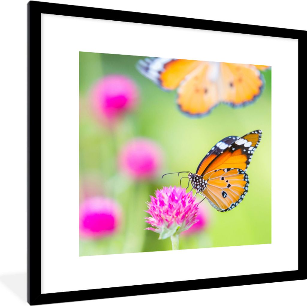 MuchoWow Gerahmtes Poster Insekten - Schmetterlinge - Blumen 40x40 cm - Poster mit Schwarzem Bilderrahmen Wandposter Rahmen Foto Bilder - Poster ...