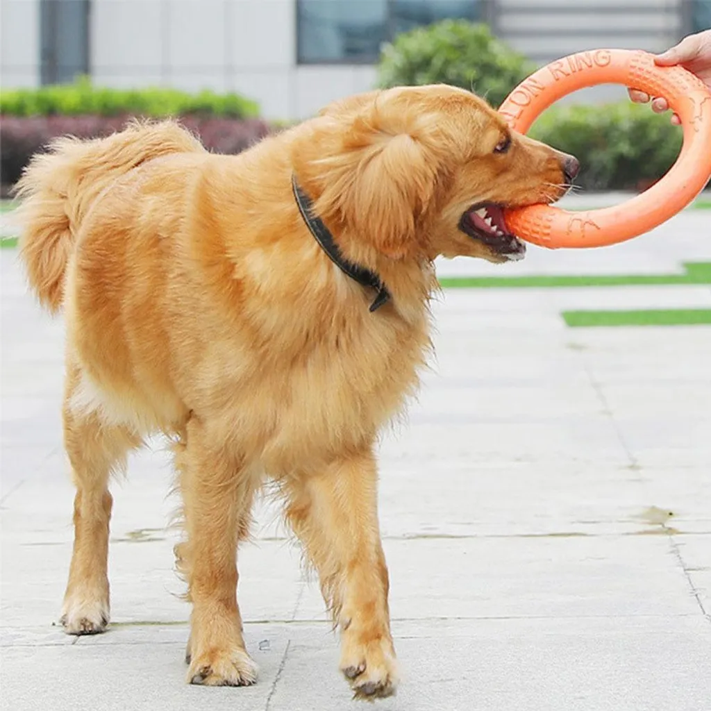 Anello per Cani in EVA S INF: Il Gioco Galleggiante per il Tuo Cucciolo - 6