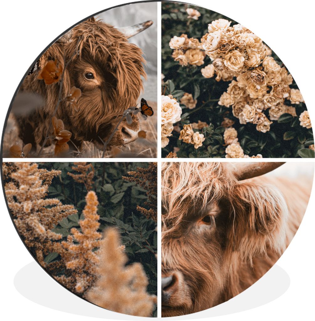 MuchoWow Aluminium Wandkreis Schottischer Highlander - Collage - Herbst Ø 60 cm Wanddeko Modern Wohnzimmer - Wand Kreis - Wandbild - Schlafzimme...