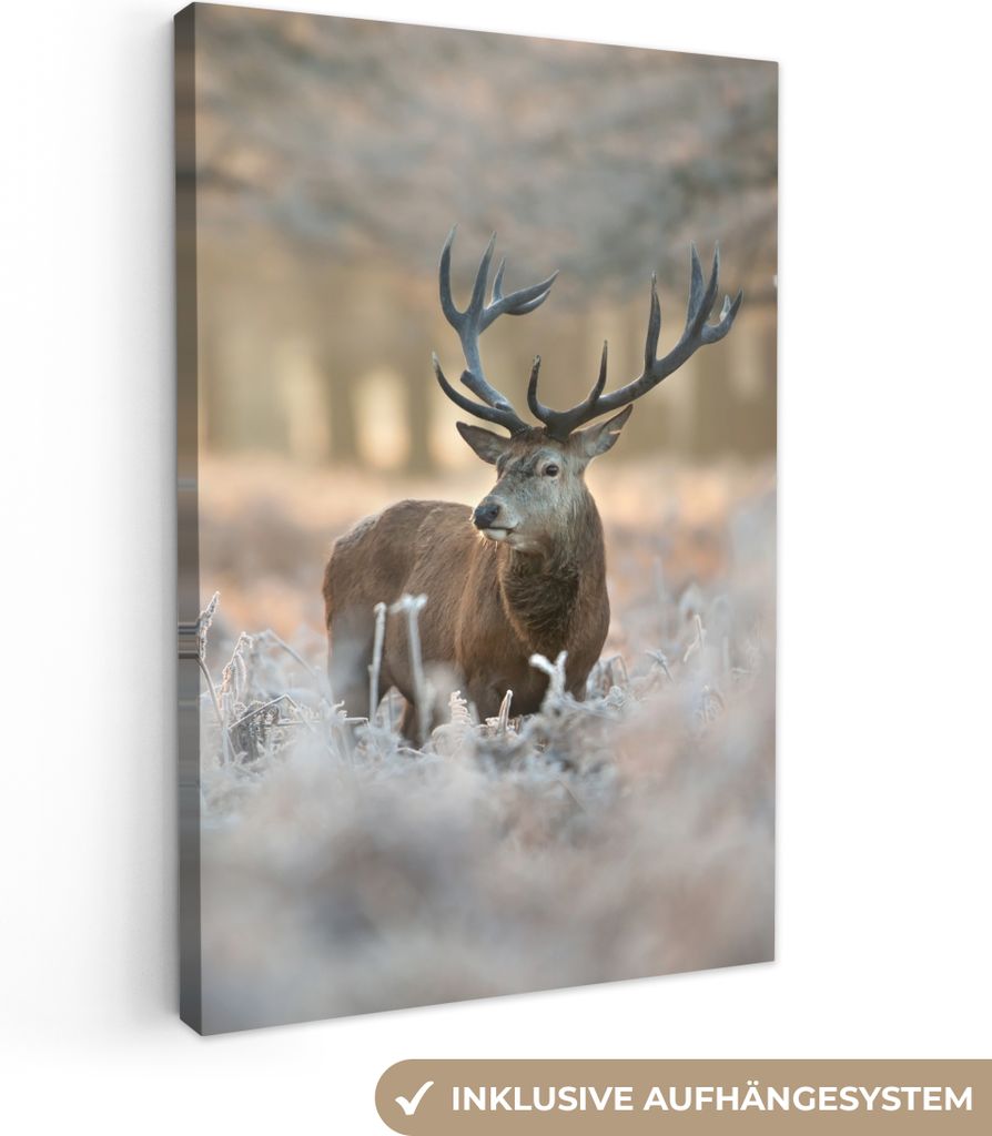 MuchoWow - Leinwandbilder - Hirsche - Tiere - Winter, Wandbild, Wanddeko Bilder Wohnzimmer, 20x30 cm