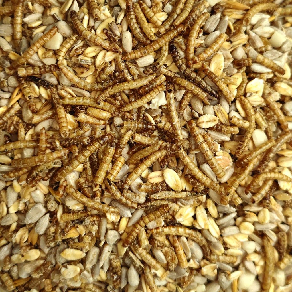 Mangime per uccelli selvatici 20 kg Deluxe con vermi della Immagine del prodotto 