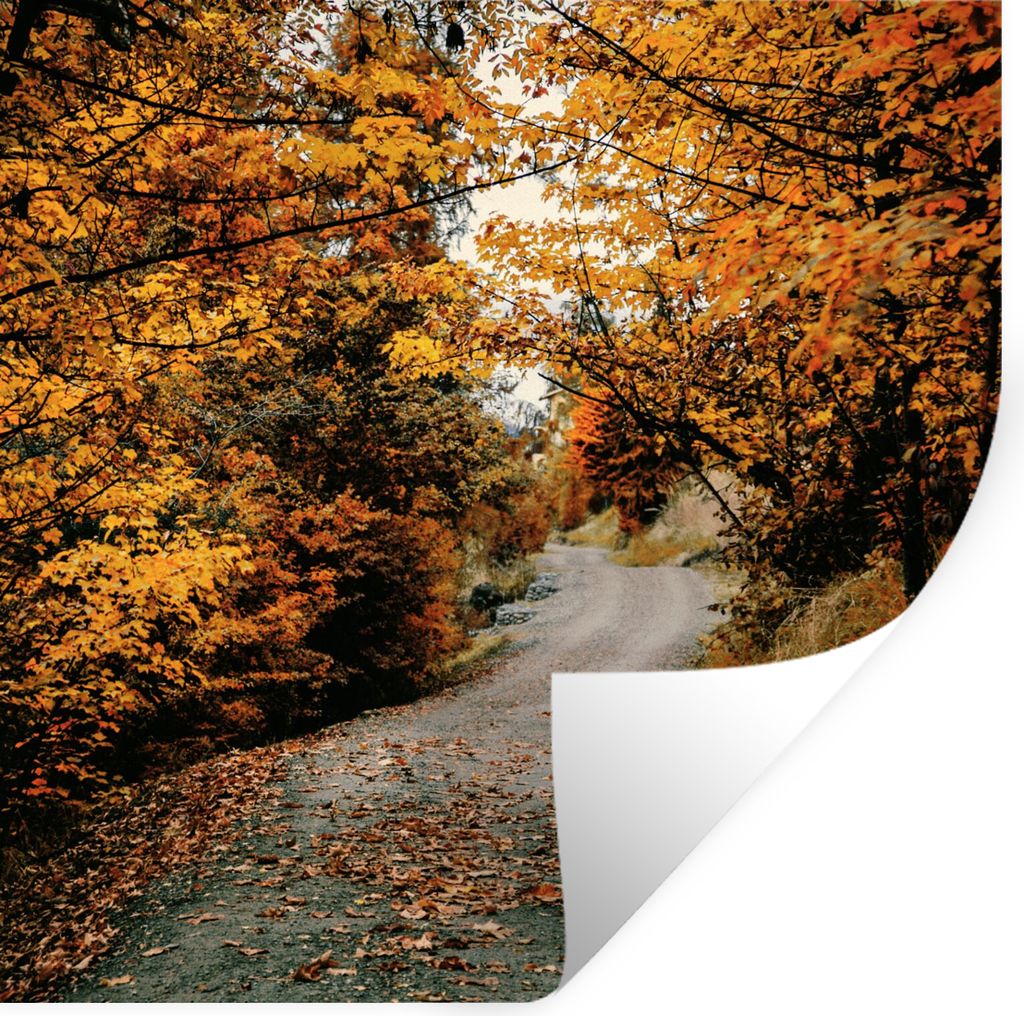 MuchoWow Wandtattoo Wandsticker Wandaufkleber Herbstwald - Weg - Laub - Ländlich 30x30 cm Selbstklebend und Repositionierbar - Repositionierbar ...