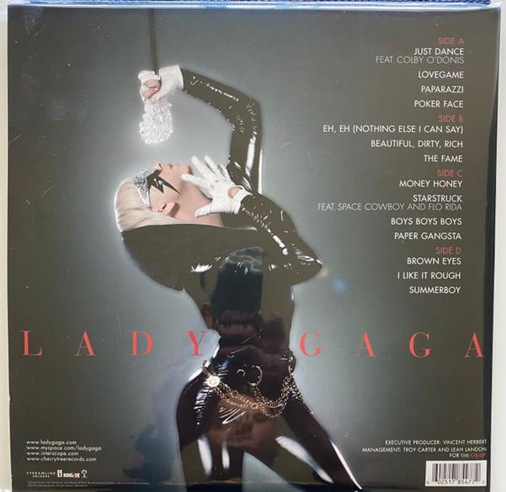 The back of a Lady Gaga vinyl record album cover, featuring the artist in a black latex outfit and listing the tracklist.