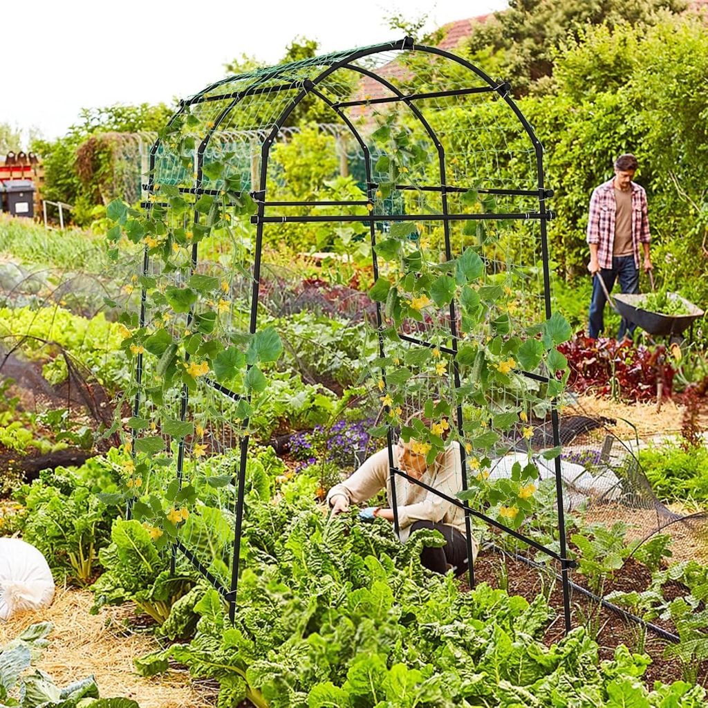 Gartenbogen für Kletterpflanzen - Hoher Rankrost für Rosen, Gemüse und Blumen - Rostbeständige Struktur aus PE-beschichtetem Metall