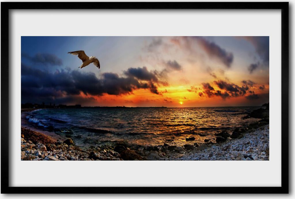 Bild 60x40 MDF-Rahmen Wandkunst Sea Gull Strand-Landschaft