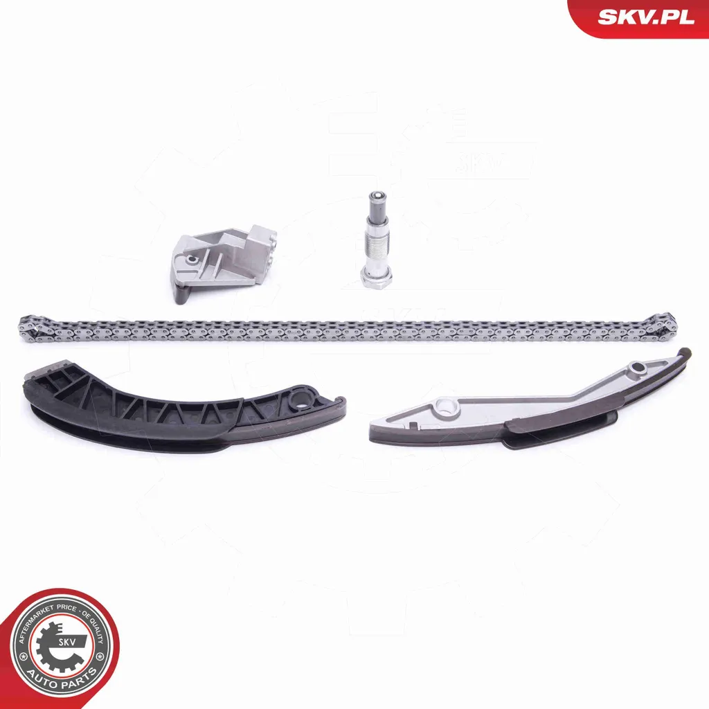 Kit distribution chaîne 21SKV134 complet pour BMW E60 E61 E70 E63 E65 - 2