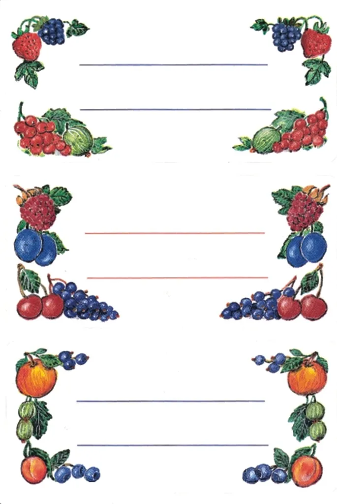 Etichette per Cucina 76x35 mm Frutti di Bosco - 40 Pezzi Adesivi