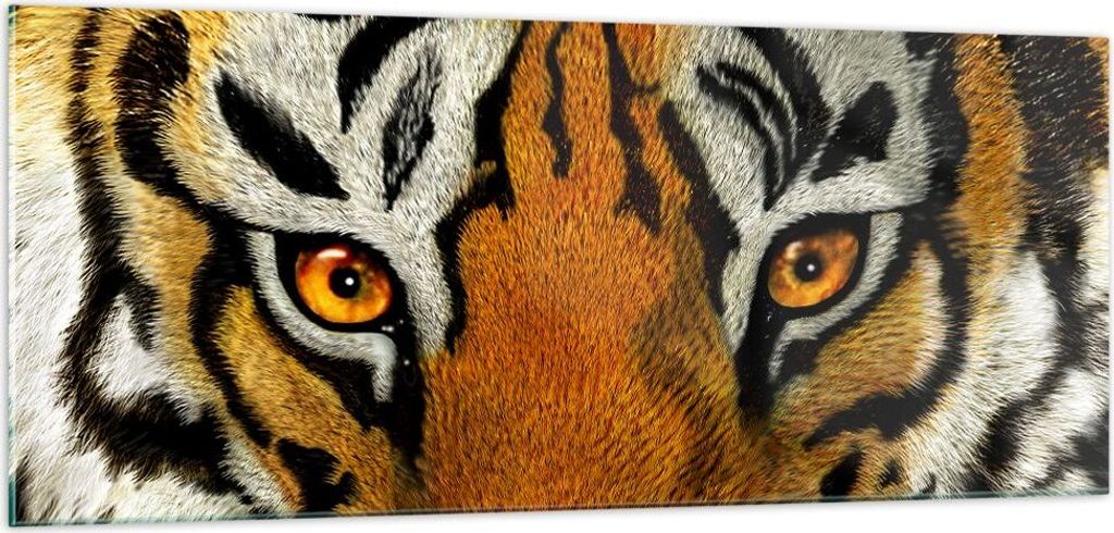 Bilder auf glas - Tiger Tiere Natur Safari - 100x40cm - Glasbilder - Wandbilder - Kunstdruck - zum Aufhängen bereit - Wanddekoration aus Glas - Gl...