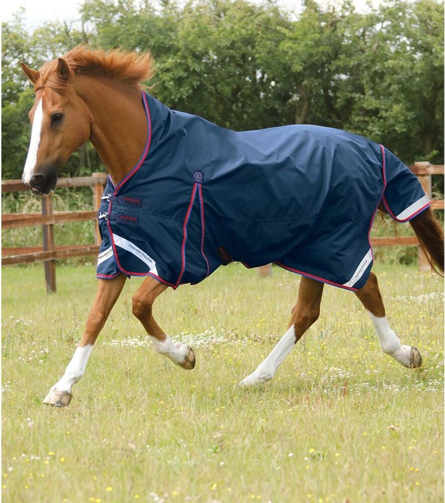 Premier Equine Buster Hardy 0 Weidedecke Blau 175 cm Blau 175 cm