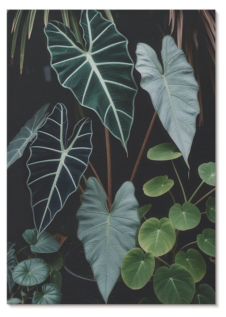POSTER - 59x84 cm (A1) - Punkt Widzenia - Grüne Blätter kontrastieren mit dunklem Hintergrund (modern) - Wandbild für Wohnzimmer Schlafzimmer & ...