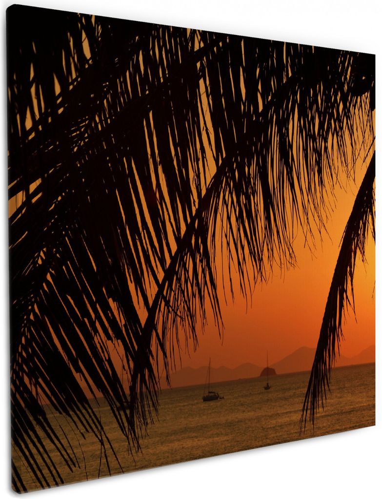 Wallario Premium Leinwandbild Sonnenuntergang unter Palmenblättern in Größe 50 x 50 cm