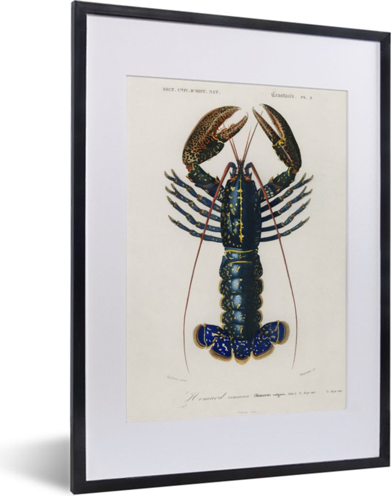 MuchoWow MuchoWow Gerahmtes Poster Krebs - Blau - Vintage 30x40 cm - Poster mit zchwarzem Bilderrahmen - Wandposter Schlafzimmer