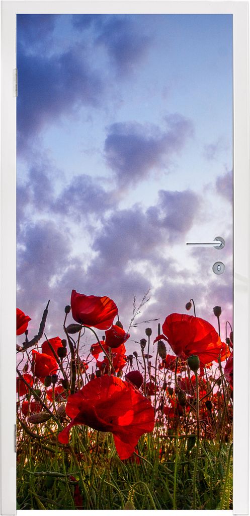 MuchoWow Türtapete Selbstklebende Türfolie Mohnblumen - Sonnenuntergang - Frühling 90x205 cm Türposter Türaufkleber Klebefolie Türklebefoli...