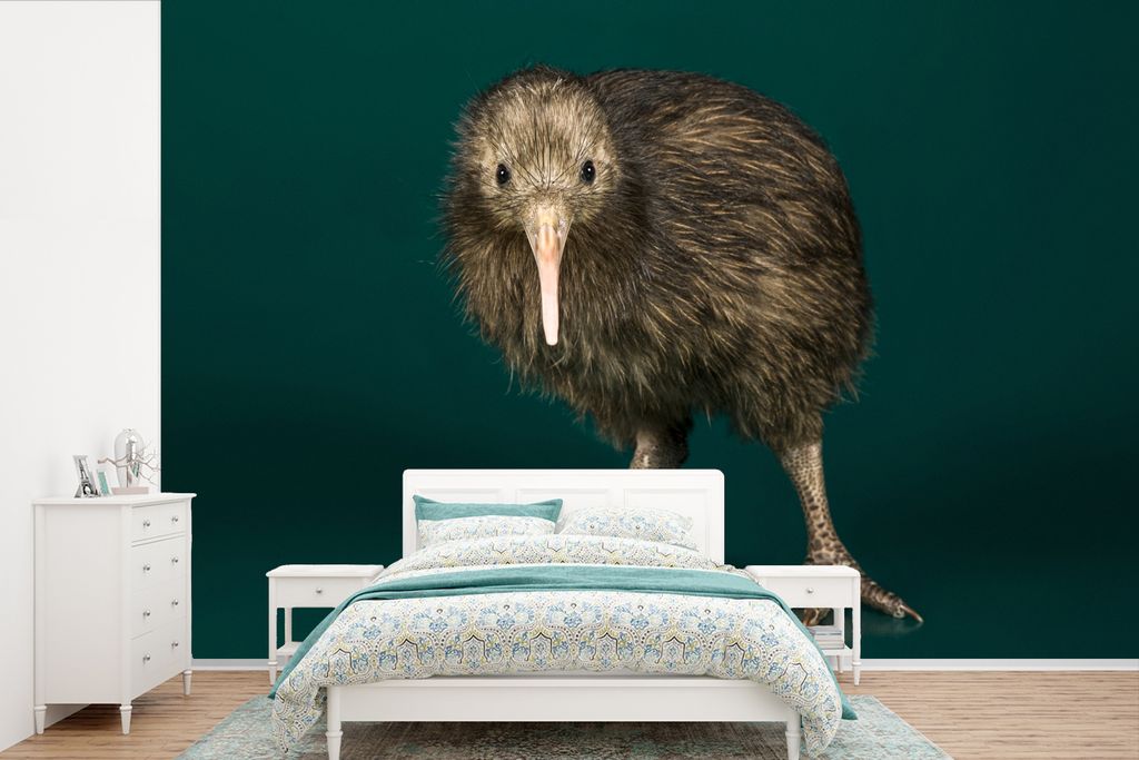 MuchoWow Fototapete für Wohnzimmer oder Schlafzimmer Wandtapete Vinyl Motivtapete Kiwi - Vogel - Grün - 420x280 cm - Zimmer für Kinder
