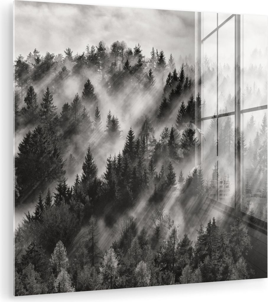 MuchoWow Glasbilder - Bilder auf Wandbild - Foto auf Glas Landschaft - Nebel - Wald - Natur 40x40 cm Wanddekoration aus Glas - Acrylglasbild - Acry...