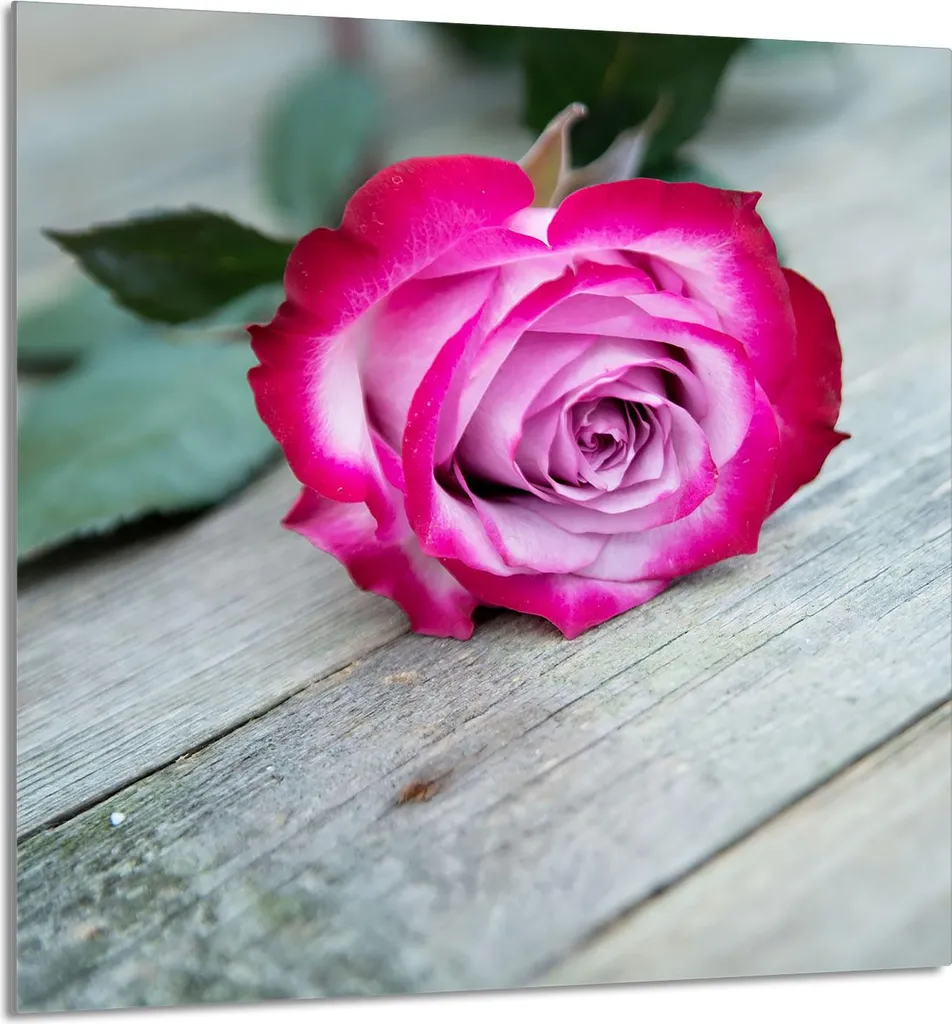 GLASPLATTE FÜR KÜCHE 60x65 Rose