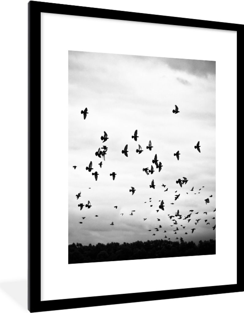 MuchoWow Gerahmtes Poster Tiere - Vögel - Wolken - Schwarz - Weiß 60x80 cm - Poster mit Schwarzem Bilderrahmen Wandposter Rahmen Foto Bilder - ...