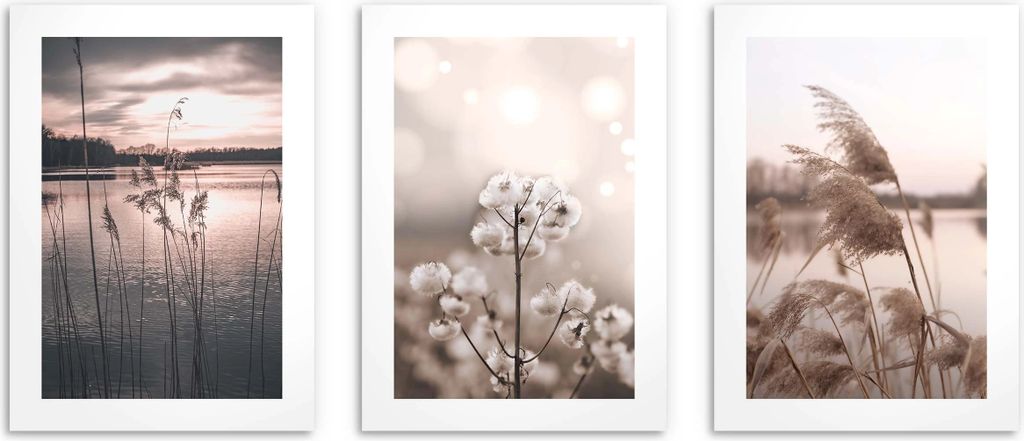 Plakat ścienny natura 3-częściowy zestaw plakatów 50x70 cm Zdjęcie produktu 