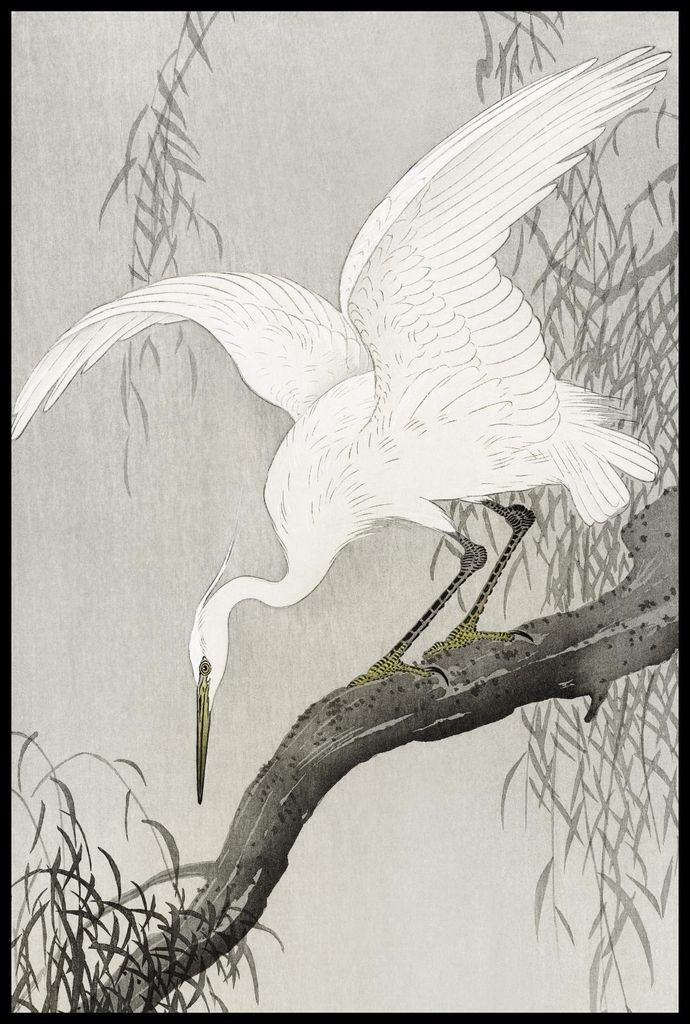 Plakat 61x91,5cm Weißer Reiher auf Baum, Japanischer Koson Vintage für das Wohnzimmer