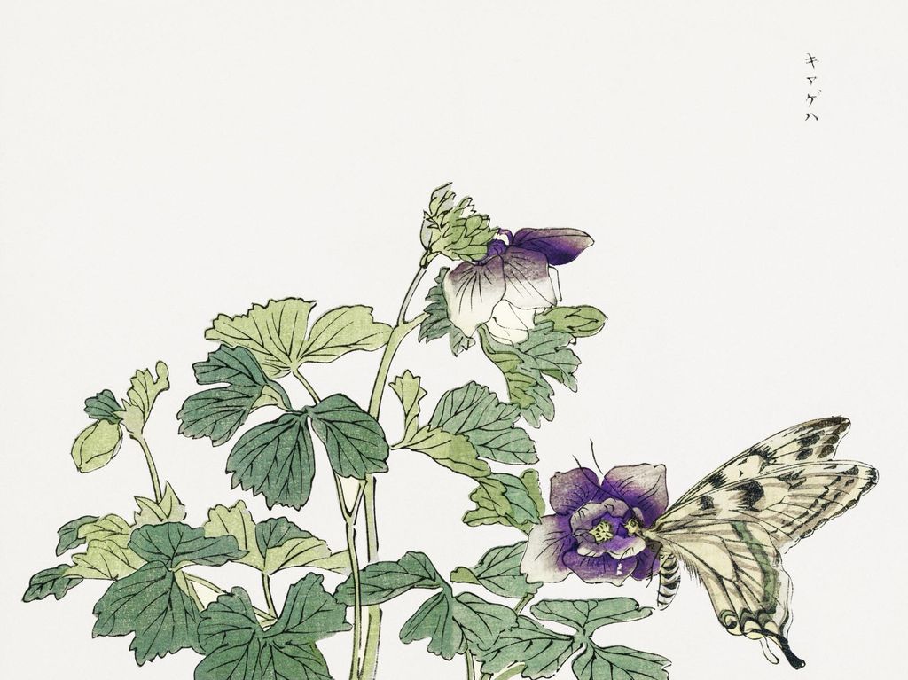 Poster 100x75cm Schmetterling mit Blume Morimoto Toko Japanisch Vintage für das Wohnzimmer