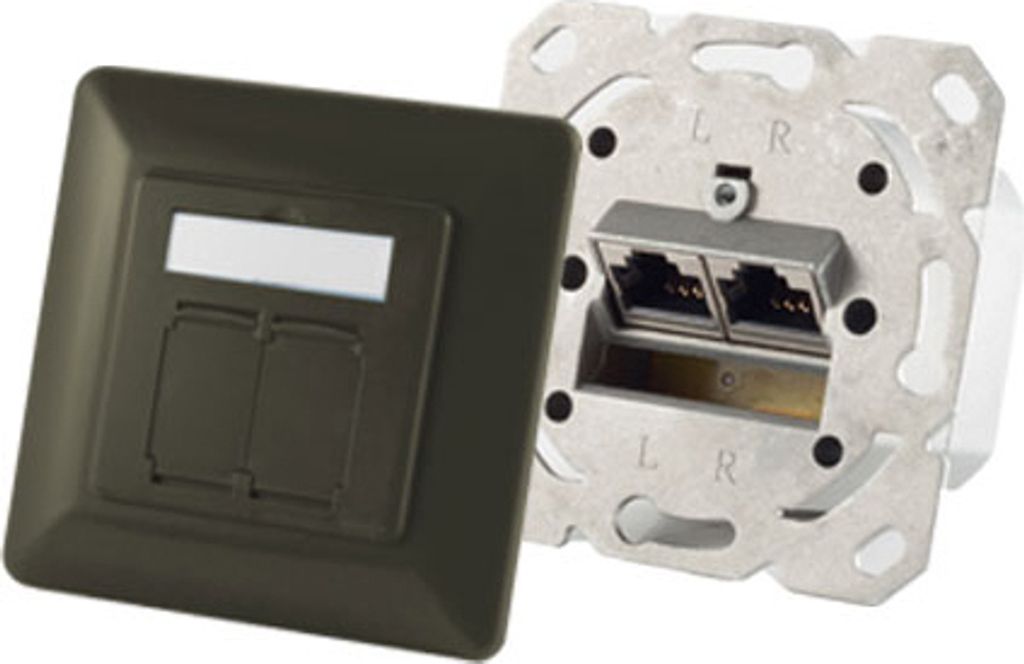 shiverpeaks BASIC-S Anschlussdose Kat. 6A 2 x RJ45 blau