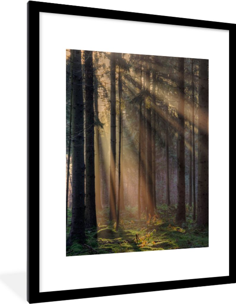 MuchoWow Gerahmtes Poster Bäume - Wald - Sonne - Pflanzen 60x80 cm - Poster mit Schwarzem Bilderrahmen Wandposter Rahmen Foto Bilder - Wohnzimme...