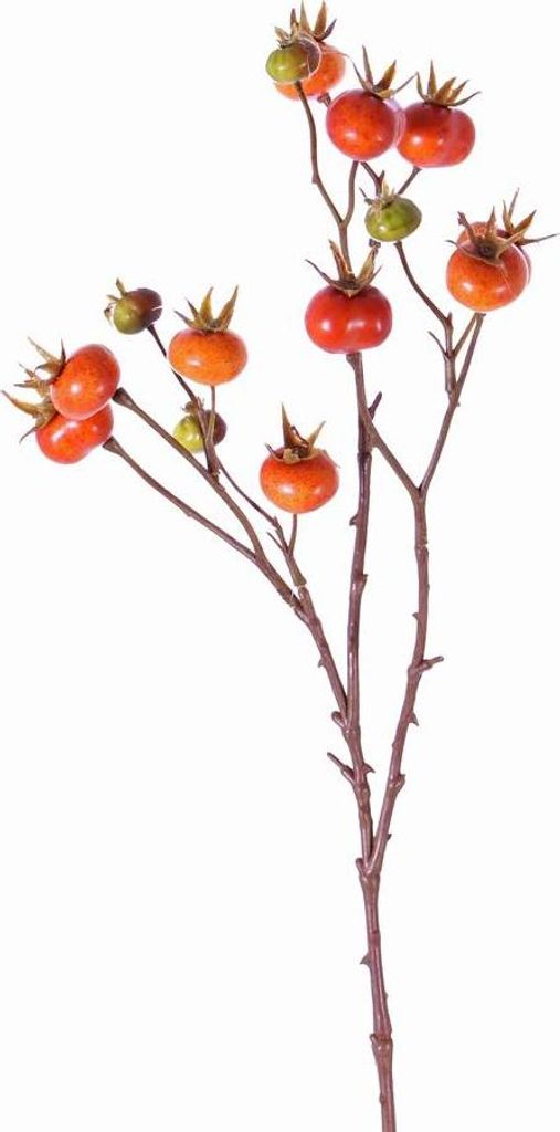 artplants.de Deko Zweig Apfelrosenzweig Gerda mit Früchten, orange, 65cm - Kunstblume Wildrose