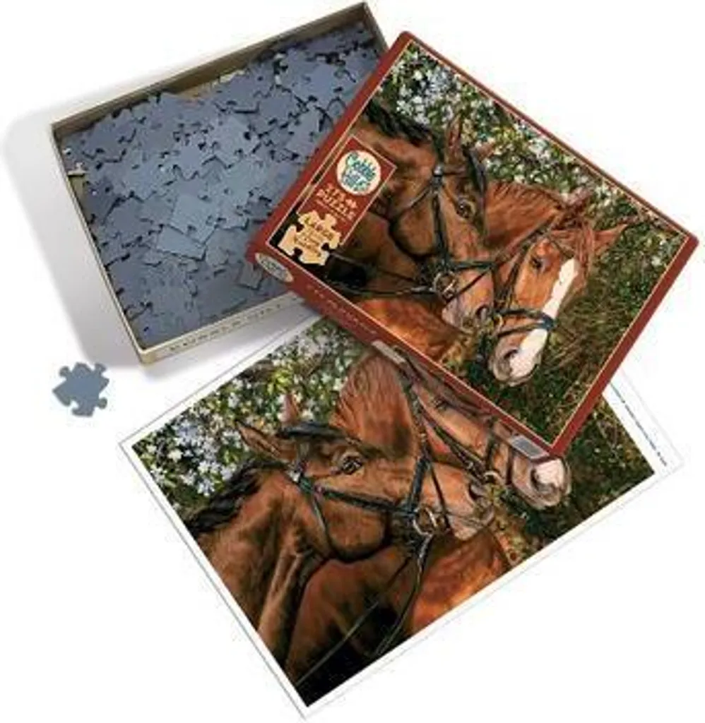 Puzzle de 275 pièces Cobble Hill avec grandes pièces pour toute famille