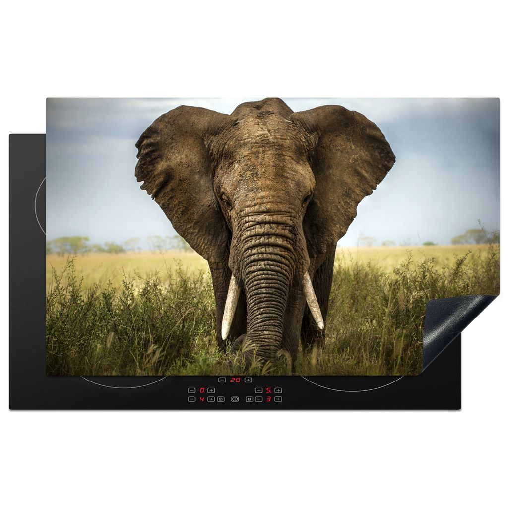 KitchenYeah Herdabdeckplatte Elefant - Natur - Gras - Tiere - Landschaft , 83x51cm, Küche Deko, Glaskeramikkochfeld Herdabdeckung, Abdeckplatte ...