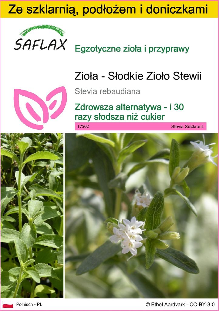 SAFLAX - Zestaw do uprawy - Zioła - Słodkie Zioło Stewii - Zdjęcie produktu 