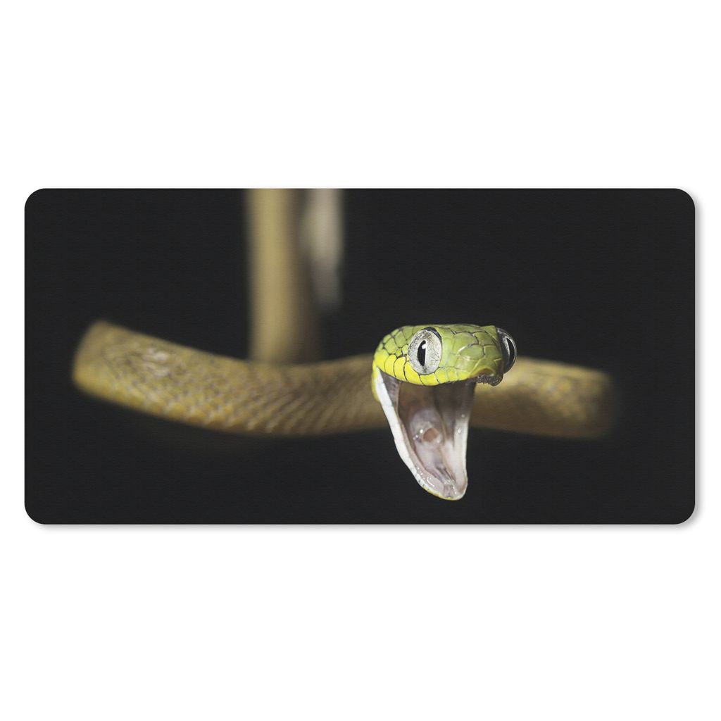 MuchoWow Schreibtischunterlage Schlange - Tier - Schwarz 80x40 cm - XXL Mauspad - Gaming Mauspad