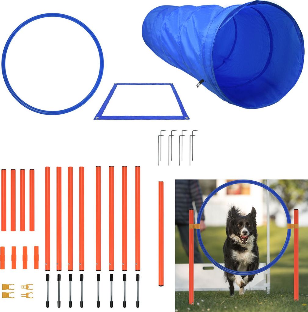 XINZI Agility Set Hunde Agility Ausrüstungs Set für Hunde Produktbild 