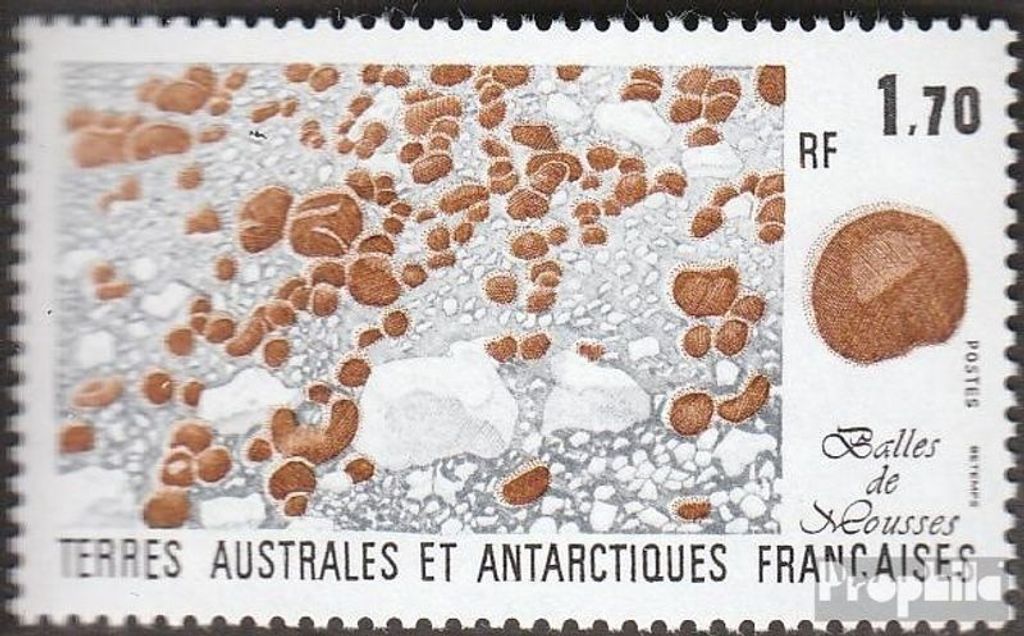 Briefmarken Französ. Gebiete Antarktis 1991 Mi 273 (kompl.Ausg.) postfrisch Pflanzen der Antarktis