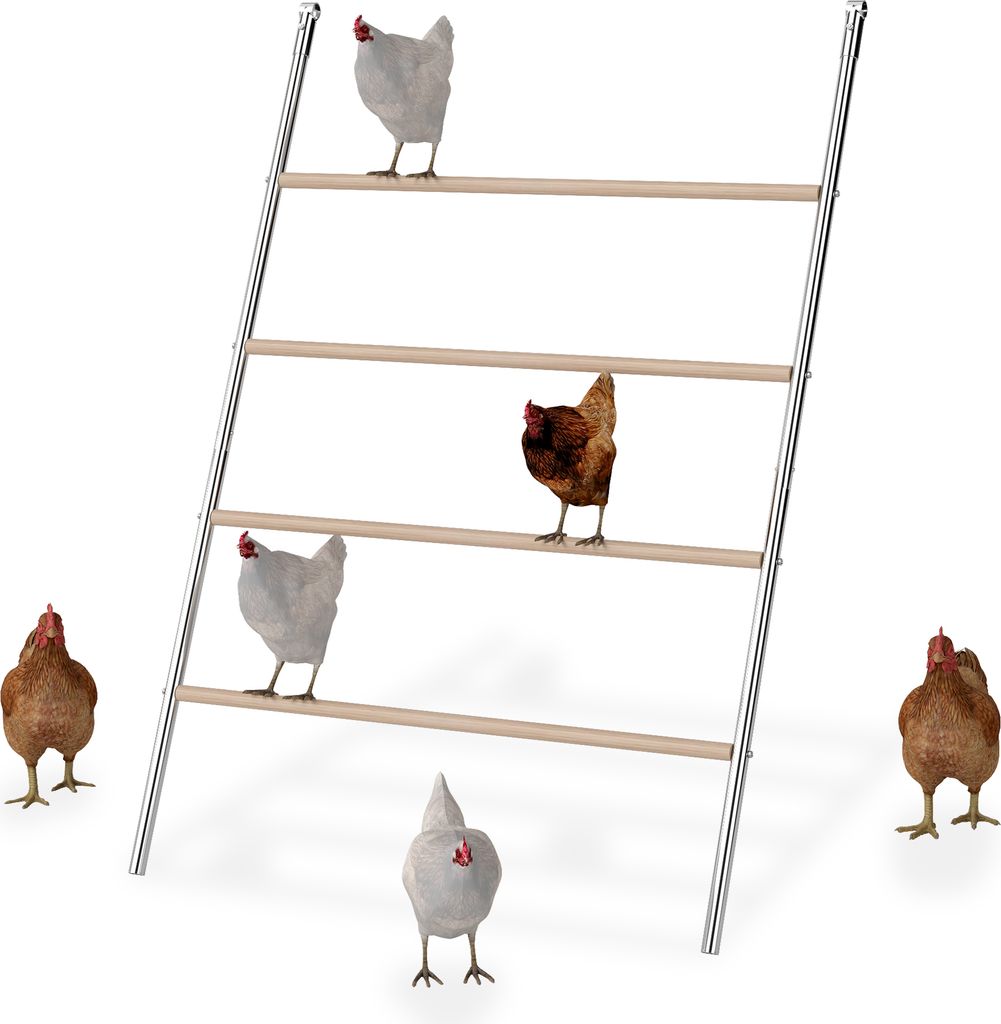 A chicken ladder with several chickens on and around it, set against a white background.