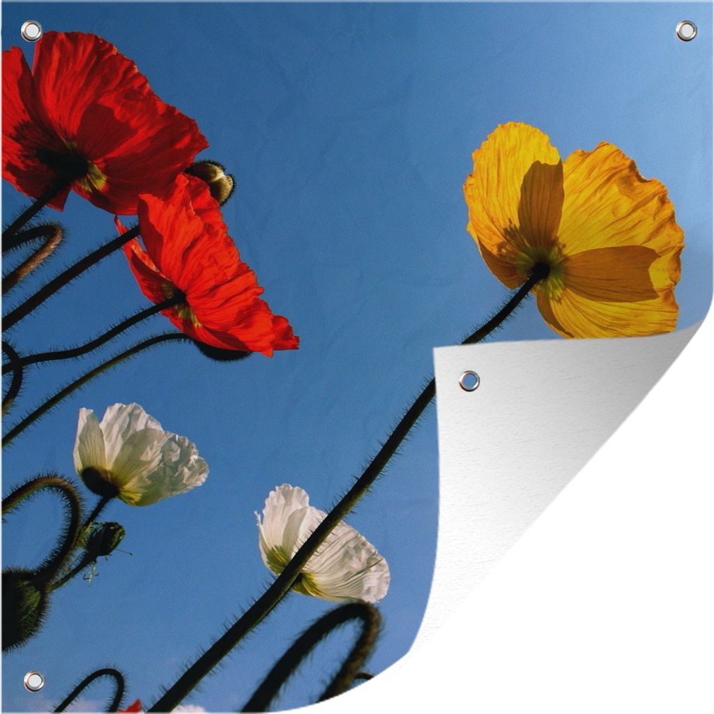 MuchoWow 100x100 cm Outdoor-Poster Gartendeko Sichtschutz Garten Poster für den Garten Bunte Mohnblumen im Sommer