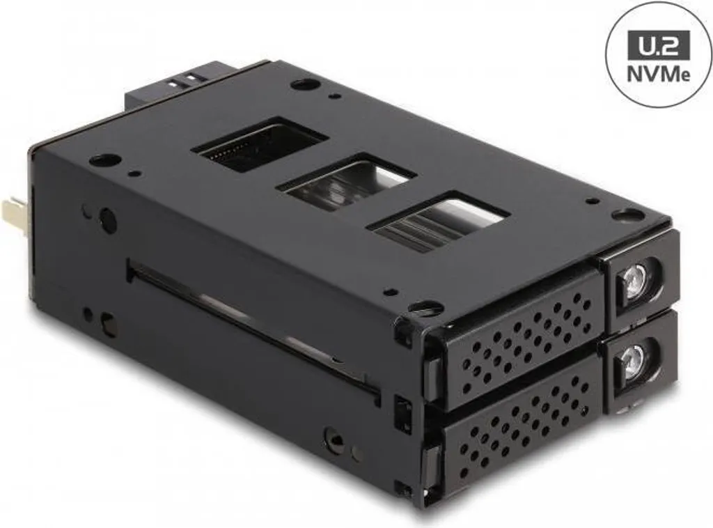 Installez 2 SSD U.2 NVMe facilement avec le Rack Slim Bay Delock 2.5"
