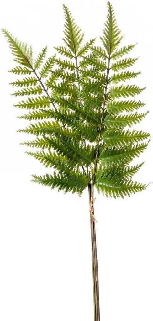 artplants.de Kunstzweig Schwertfarn Zweig Halima, grün, 60cm - Künstlicher Farn