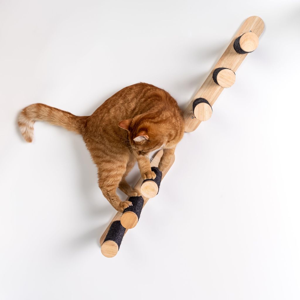 RHRQuality Wandmöbel Kletterwand Katze – Leiter-Set 2-teilig – Tragkraft bis 20 kg – Für große Katzen – Blackline