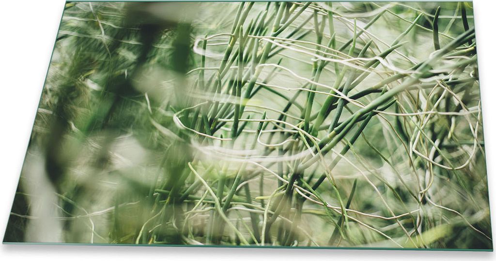 Herdabdeckplatte Glaskeramik 1 Teilig 80x52 Natur Grün Abdeckung Glas Spritzschutz