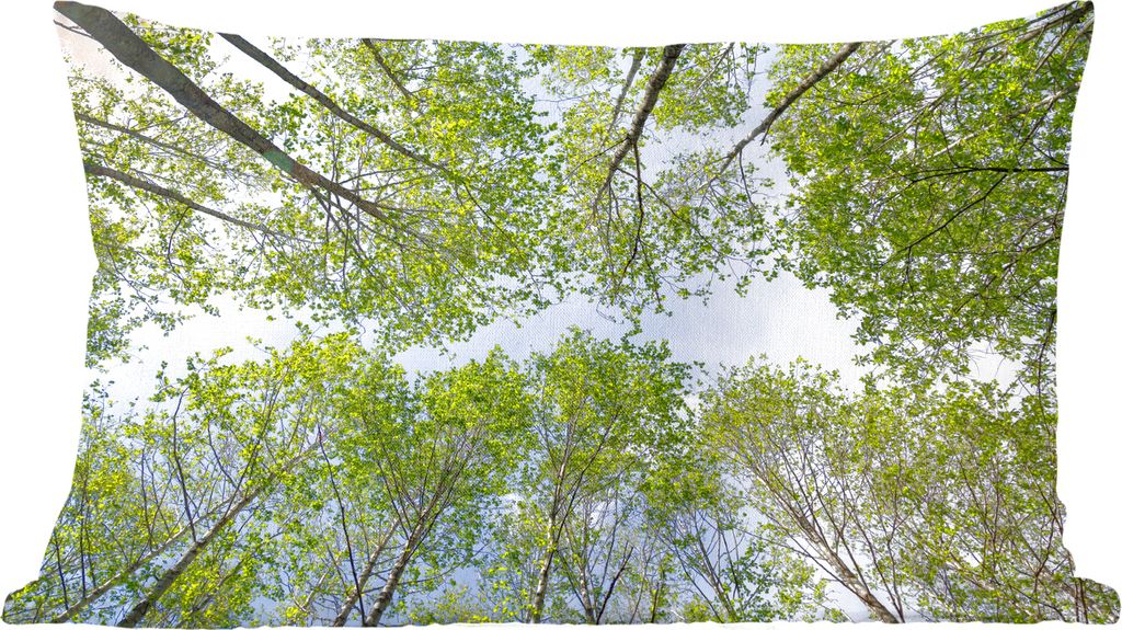 MuchoWow Zierkissen Sofakissen Wohnzimmer Dekokissen 60x40 cm Sommer - Bäume - Himmel - Kopfkissen - Polster mit Foto
